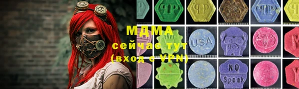 индика Алексин