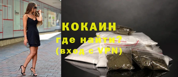 индика Алексин
