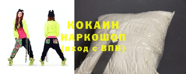 индика Алексин