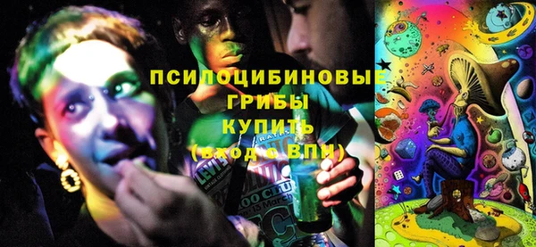 индика Алексин