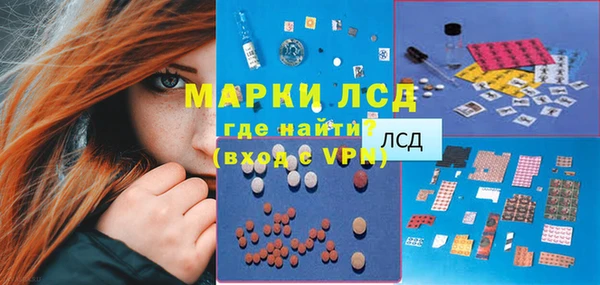 индика Алексин