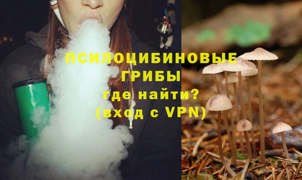 не бодяженный Алзамай