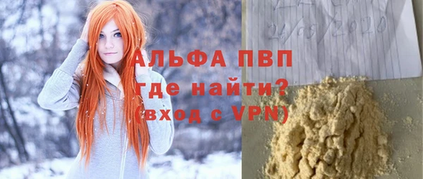 индика Алексин