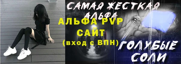 индика Алексин