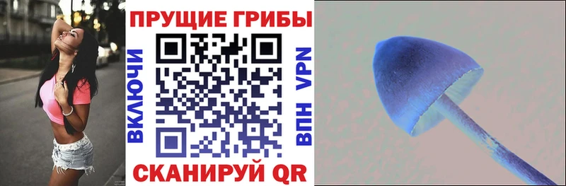 цена Красноармейск Псилоцибиновые грибы мухоморы