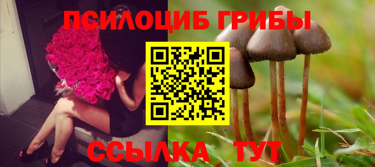 Галлюциногенные грибы Magic Shrooms  Вход с VPN  Галлюциногенные грибы Psilocybine cubensis  Красноармейск 